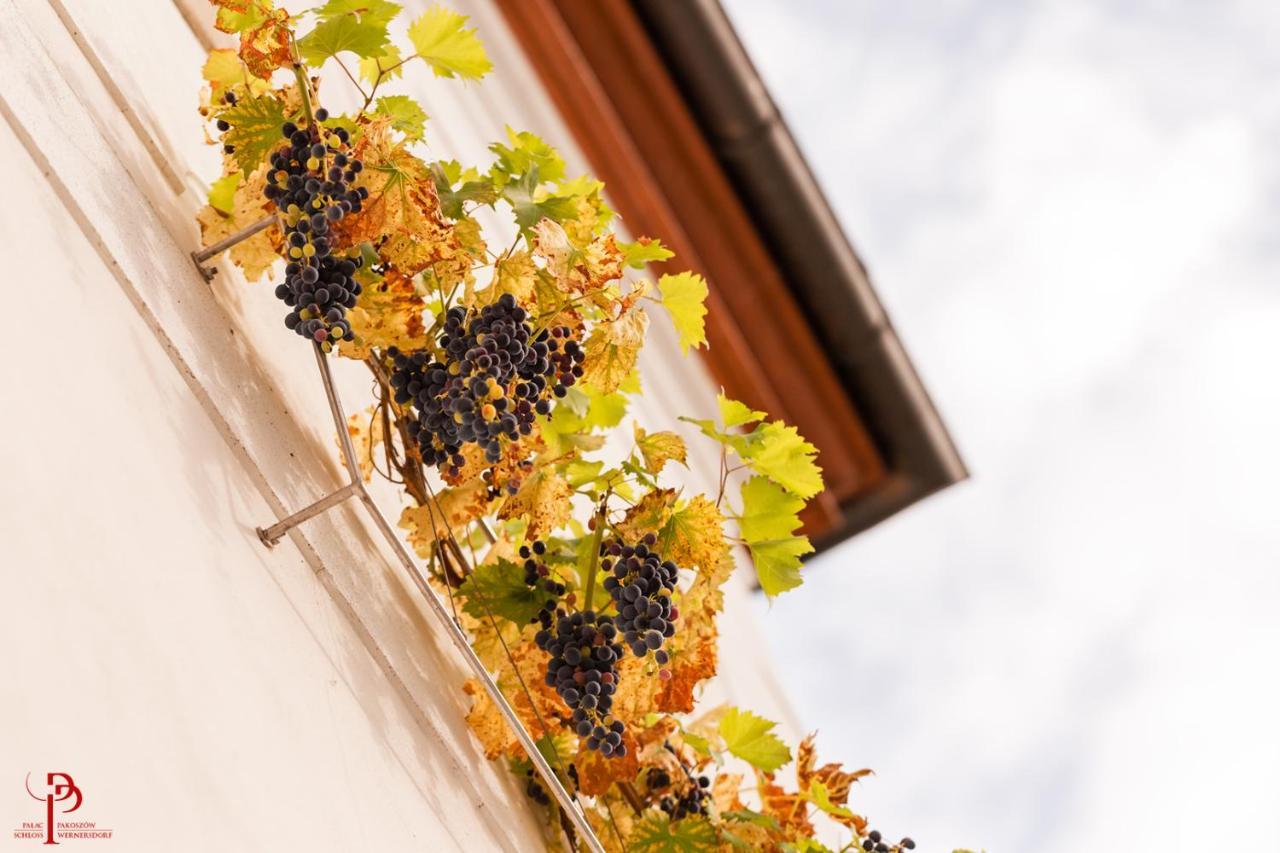 Palac Pakoszow Schlosshotel Wernersdorf Jelenia Gora Ngoại thất bức ảnh Vineyards in the village of Saint-André-de-Valzach