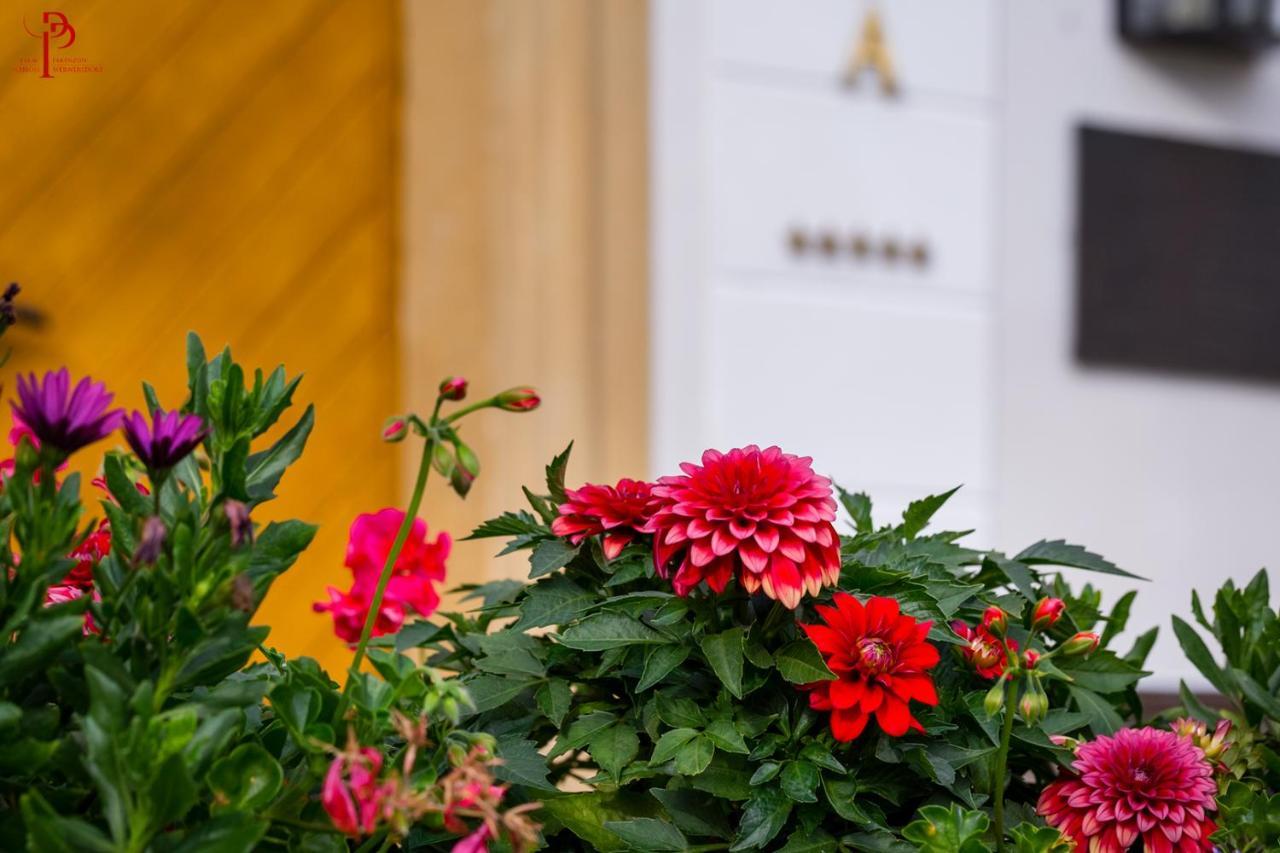 Palac Pakoszow Schlosshotel Wernersdorf Jelenia Gora Ngoại thất bức ảnh Dahlia 'Red Charm'